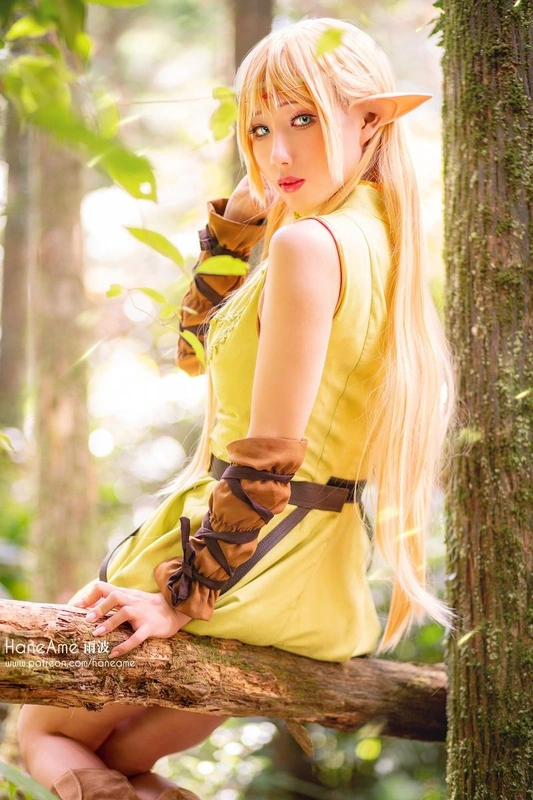 Record of lodoss Deedlit - 雨波_haneame